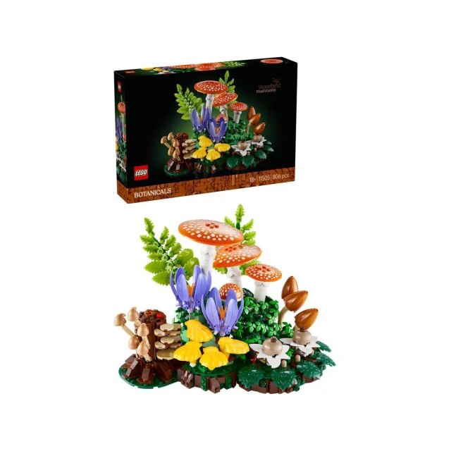 Botanicals Waldpilze